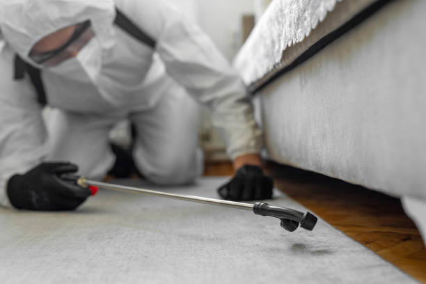 Professional Termite Control technician working in Morrisville, NC