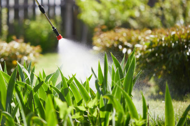 24/7 Emergency Termite Control experts in Morrisville, NC