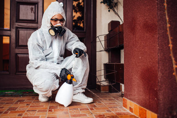 Reliable Termite Control contractor in Morrisville, NC by Nex Pest Control
